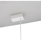 Rosette + Kabel L=2500mm 3-polig schwarz