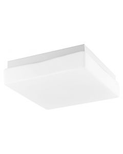 cube_projekt_1